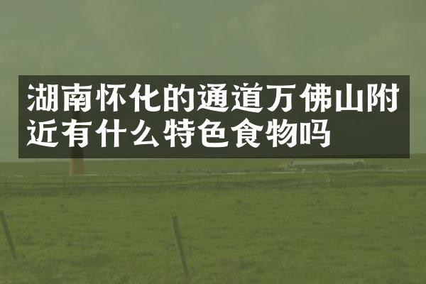 湖南怀化的通道万佛山附近有什么特色食物吗