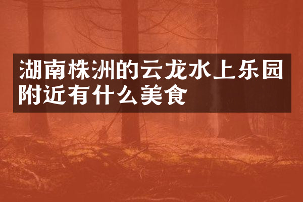 湖南株洲的云龙水上乐园附近有什么美食