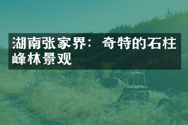 湖南张家界：奇特的石柱峰林景观