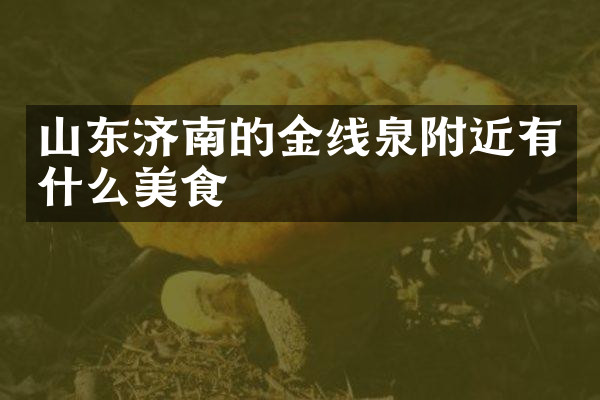山东济南的金线泉附近有什么美食