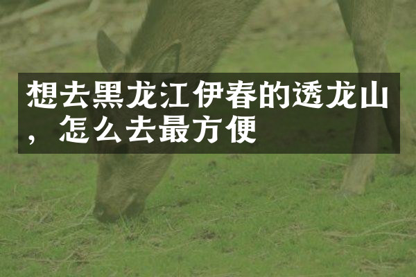 想去黑龙江伊春的透龙山，怎么去最方便