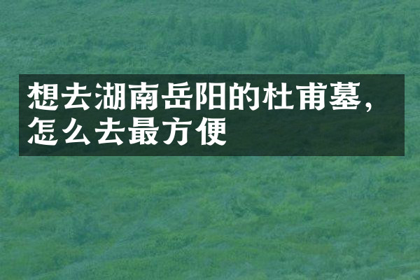 想去湖南岳阳的杜甫墓，怎么去最方便