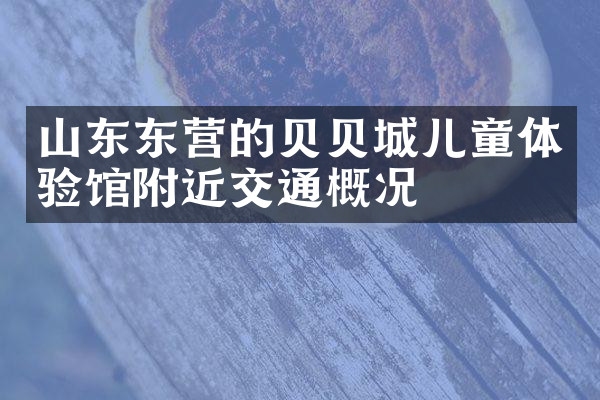 山东东营的贝贝城儿童体验馆附近交通概况
