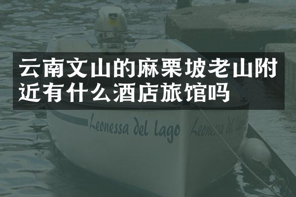 云南文山的麻栗坡老山附近有什么酒店旅馆吗