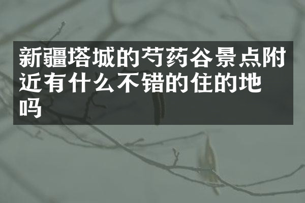 新疆塔城的芍药谷景点附近有什么不错的住的地方吗