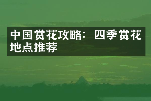 中国赏花攻略：四季赏花地点推荐