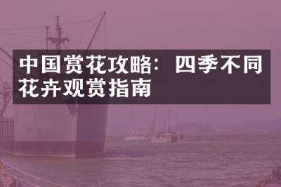 中国赏花攻略：四季不同花卉观赏指南