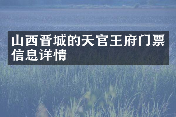 山西晋城的天官王府门票信息详情
