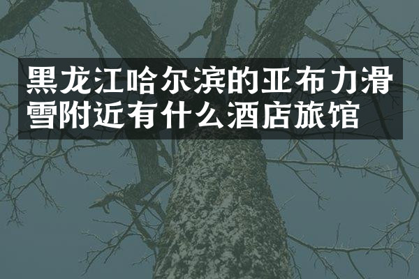 黑龙江哈尔滨的亚布力滑雪附近有什么酒店旅馆吗
