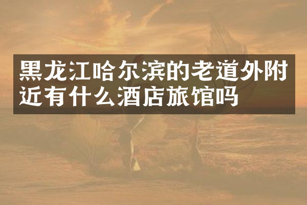 黑龙江哈尔滨的老道外附近有什么酒店旅馆吗