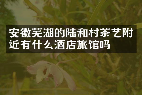 安徽芜湖的陆和村茶艺附近有什么酒店旅馆吗