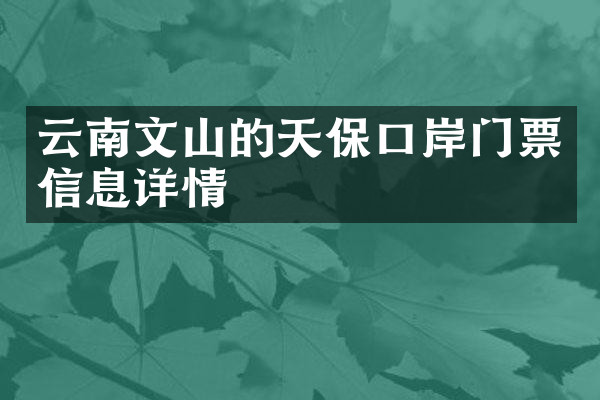 云南文山的天保口岸门票信息详情