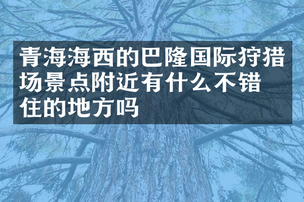 青海海西的巴隆国际狩猎场景点附近有什么不错的住的地方吗