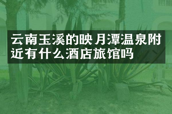 云南玉溪的映月潭温泉附近有什么酒店旅馆吗