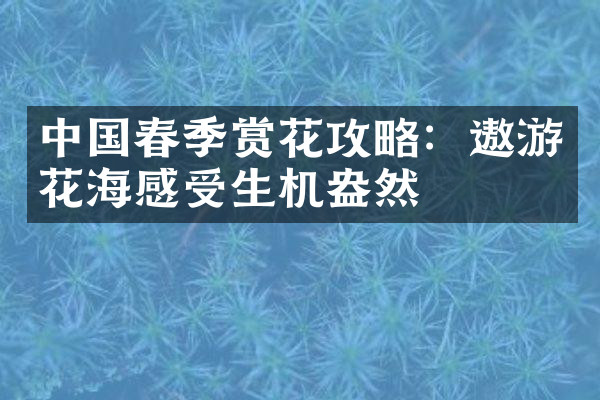 中国春季赏花攻略：遨游花海感受生机盎然