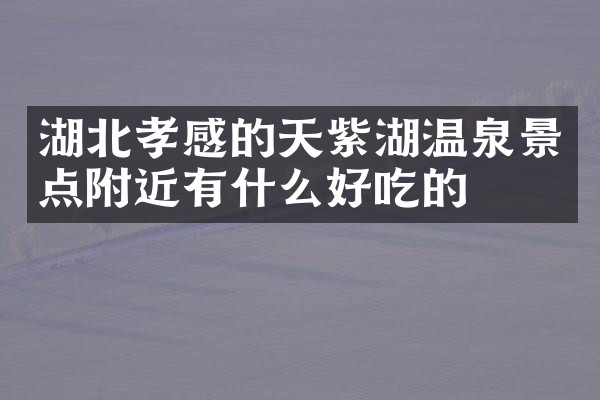 湖北孝感的天紫湖温泉景点附近有什么好吃的