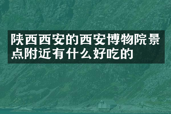 陕西西安的西安博物院景点附近有什么好吃的