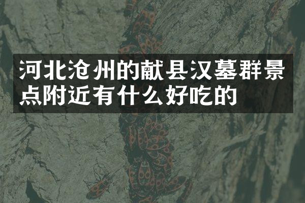 河北沧州的献县汉墓群景点附近有什么好吃的