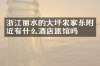 浙江丽水的大坪农家乐附近有什么酒店旅馆吗