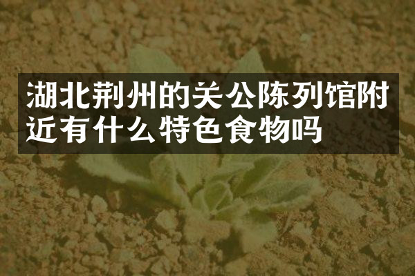 湖北荆州的关公陈列馆附近有什么特色食物吗