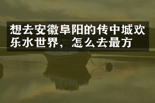 想去安徽阜阳的传中城欢乐水世界，怎么去最方便