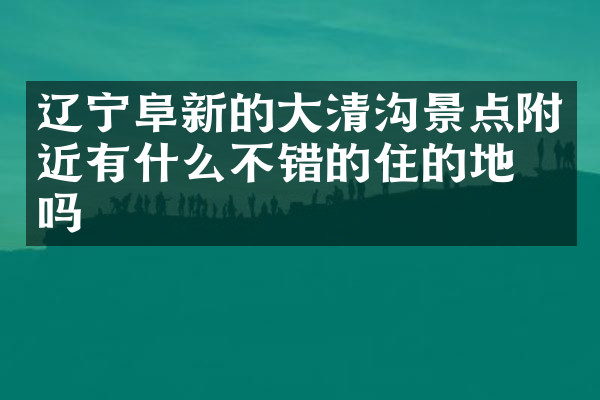 辽宁阜新的大清沟景点附近有什么不错的住的地方吗