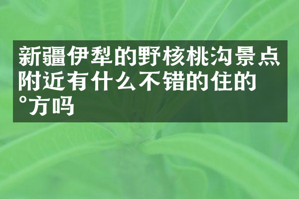 新疆伊犁的野核桃沟景点附近有什么不错的住的地方吗