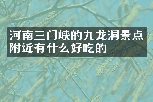 河南三门峡的九龙洞景点附近有什么好吃的