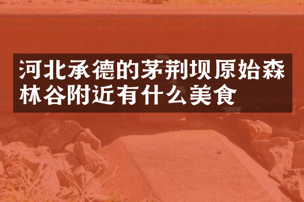 河北承德的茅荆坝原始森林谷附近有什么美食