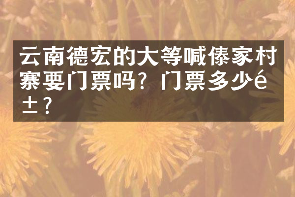 云南德宏的大等喊傣家村寨要门票吗？门票多少钱？