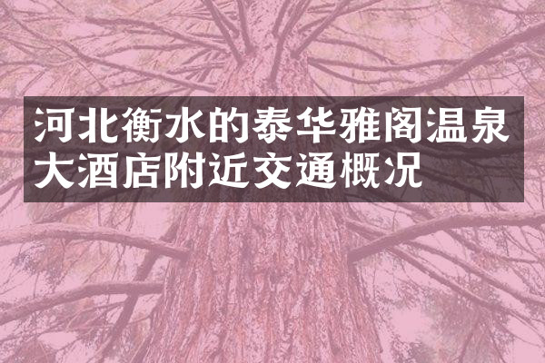 河北衡水的泰华雅阁温泉大酒店附近交通概况