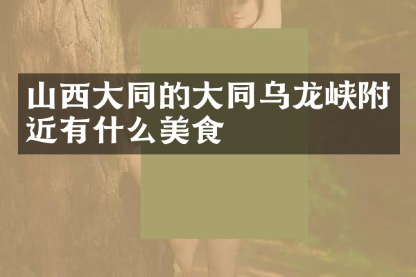 山西大同的大同乌龙峡附近有什么美食