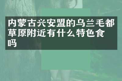 内蒙古兴安盟的乌兰毛都草原附近有什么特色食物吗