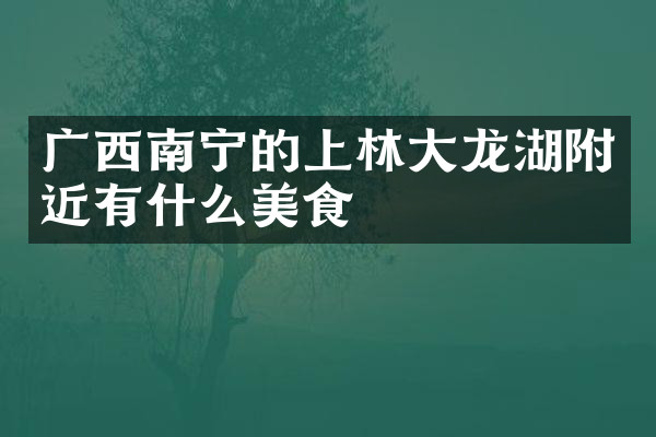 广西南宁的上林大龙湖附近有什么美食