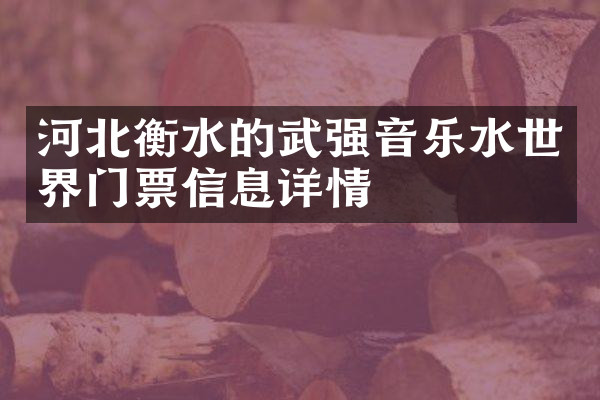 河北衡水的武强音乐水世界门票信息详情