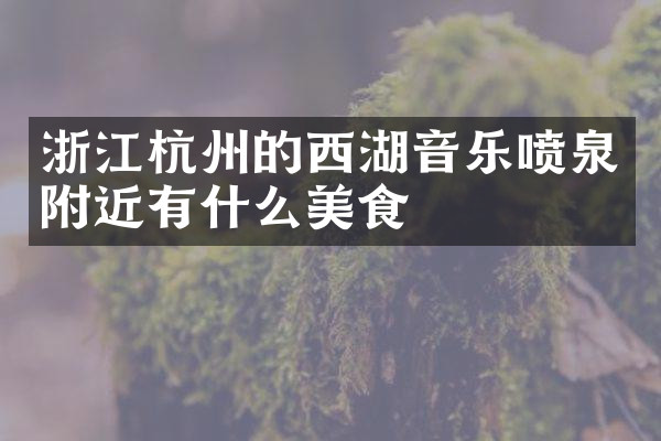 浙江杭州的西湖音乐喷泉附近有什么美食