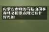 内蒙古赤峰的马鞍山国家森林公园景点附近有什么好吃的