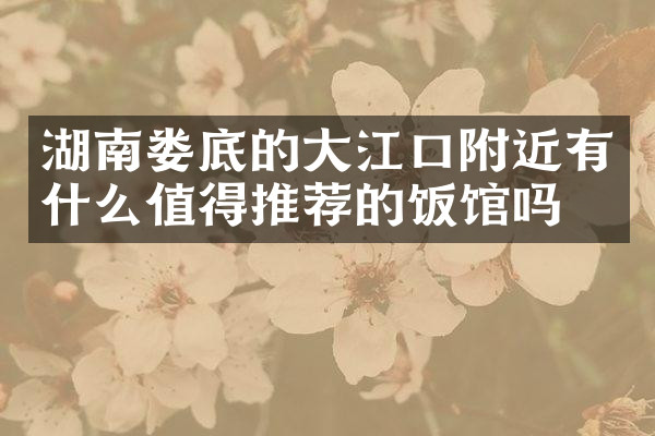 湖南娄底的大江口附近有什么值得推荐的饭馆吗