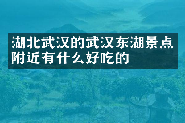 湖北武汉的武汉东湖景点附近有什么好吃的