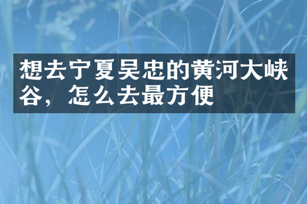 想去宁夏吴忠的黄河大峡谷，怎么去最方便