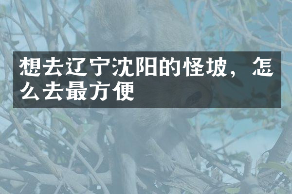 想去辽宁沈阳的怪坡，怎么去最方便