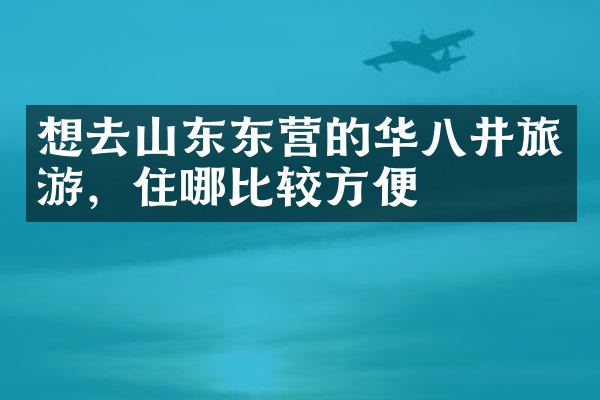 想去山东东营的华八井旅游，住哪比较方便