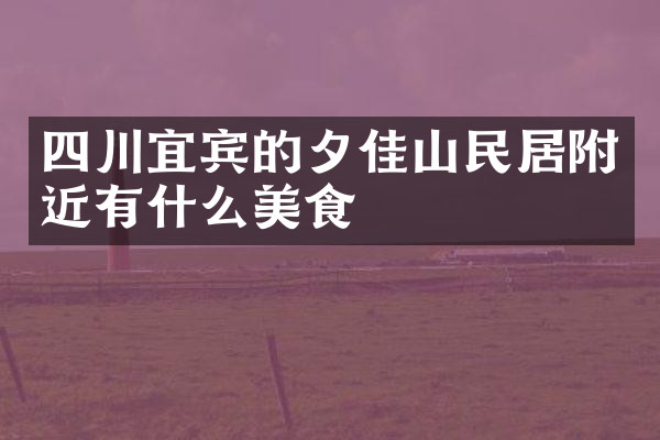 四川宜宾的夕佳山民居附近有什么美食