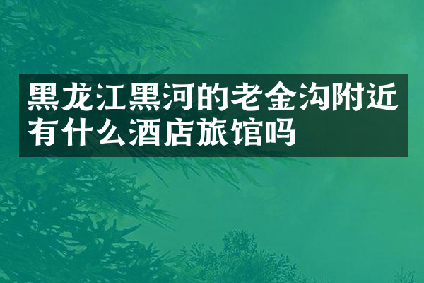 黑龙江黑河的老金沟附近有什么酒店旅馆吗