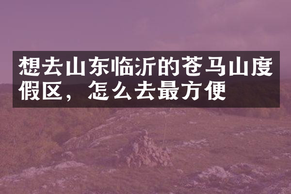 想去山东临沂的苍马山度假区，怎么去最方便