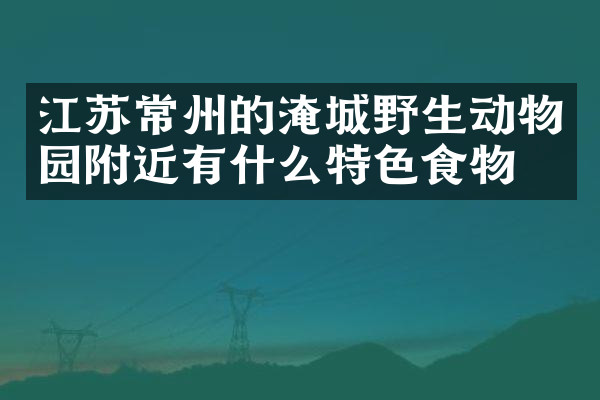 江苏常州的淹城野生动物园附近有什么特色食物吗