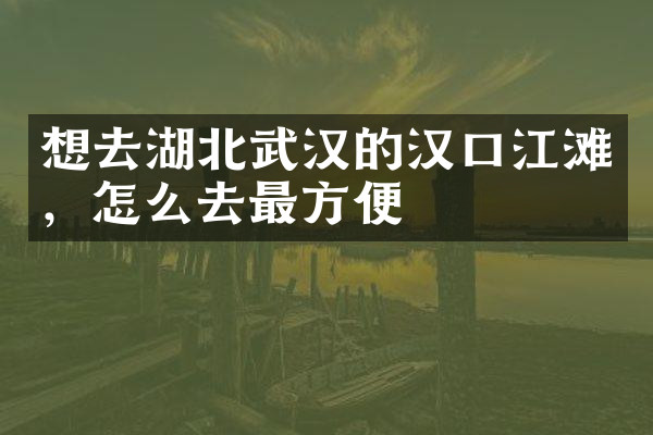 想去湖北武汉的汉口江滩，怎么去最方便