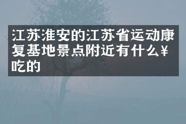 江苏淮安的江苏省运动康复基地景点附近有什么好吃的