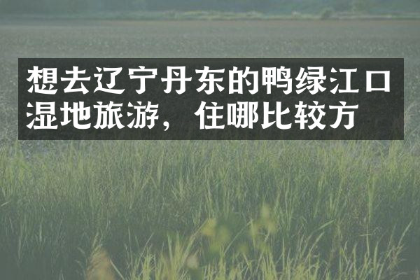 想去辽宁丹东的鸭绿江口湿地旅游，住哪比较方便