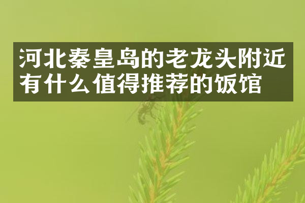 河北秦皇岛的老龙头附近有什么值得推荐的饭馆吗